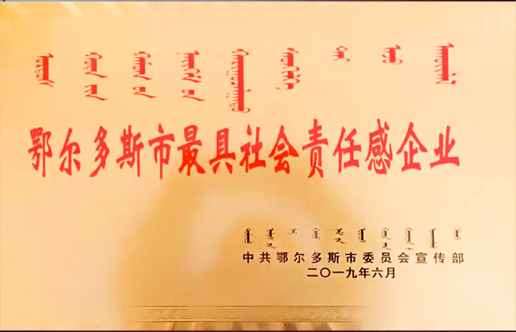 最具社会责任感企业