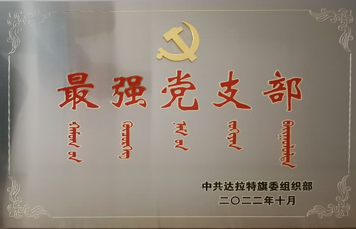 最强党支部