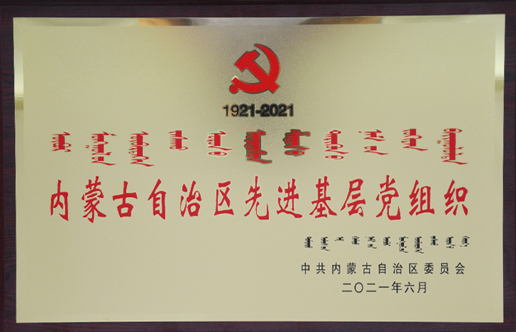 内蒙古自治区先进基层党组织